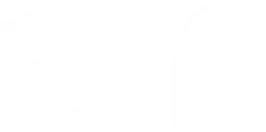 Certificado de Seguridad